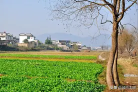 2020年南平市区划一览表，带你了解南平市有几个区、县图片