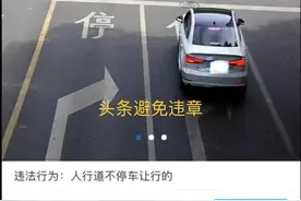 盘点成都市“人行道不礼让行人”高发路段图片