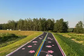 先睹为快！扬州首条环岛观光大道将添新景观图片