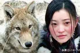 《重返狼群》女孩与狼之间的爱、别、离：心存敬畏，才能活得坦荡图片