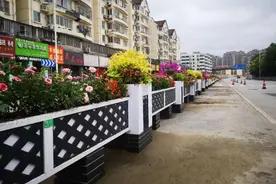 无锡这些道路景观大改造！这也太美了图片