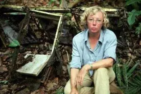 飞机被闪电击中，从几千米高空掉落，17岁的朱莉安是唯一幸存者图片