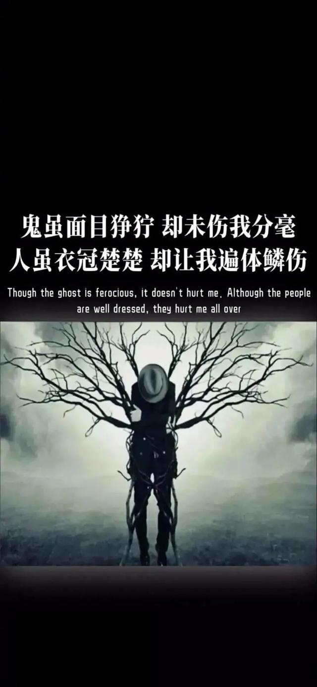 情感文字壁纸/下马敬红尘，来世不做人