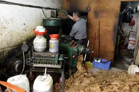 榨油坊不要工钱，要油渣，不起眼的油渣有什么用途？图片