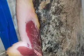 🔥最最正宗的宣威火腿🔥图片