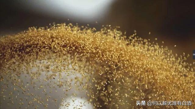 喝纯粮酒的五大理由