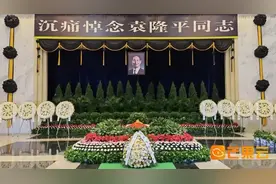 中国的袁隆平，世界的骄傲！海内外各界深切悼念袁隆平图片