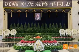 中国的袁隆平，世界的骄傲！海内外各界深切悼念袁隆平图片