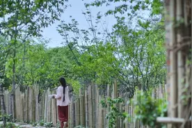关于新中式生活方式：那里藏着我们每个人的田园梦图片