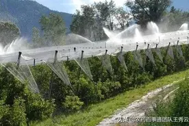 果园浇水学问大，如何科学浇水是难题？看看专家怎么说的图片