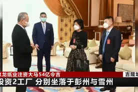 玖龙纸业86.2亿人民币扩大马来西亚产能图片