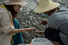 登6000米昆仑山顶，走悬崖峭壁，新疆90后女生每年寻玉十万公里图片