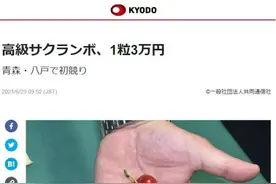 15颗樱桃2.6万元，一粒蜜瓜8万元！日本水果为什么总是这么贵？图片