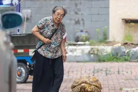 8旬老奶奶养乌龟12年，有人出价3万没卖，如今不知如何处理求支招图片