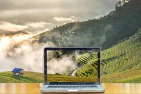 当前我国农民合作社联合合作的模式与成效图片