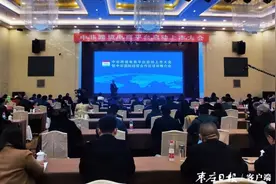 集中签约 项目推介 授牌仪式……枣庄这场大会有力促进中非经贸的合作与交流图片
