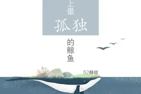 52赫兹的孤独：我们都曾是化身孤岛的鲸图片