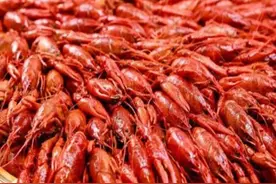 嗨翻龙虾季！天元区吃虾指南（二）图片