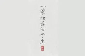 仅以此诗词，献给正在经历挣扎的人：苏轼的一蓑烟雨任平生图片