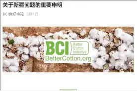 H&M抵制新疆棉花只为政治吗？为啥西方人相信强迫劳动的谎言？图片