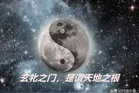 “牝”是何物？为何说“大邦者，下流也，天下之牝也”？图片