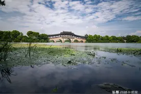 家门口的自然风景长广溪湿地公园图片