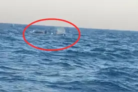 事发大连！三头巨型海兽浮出海面，视频拍下壮观一幕图片