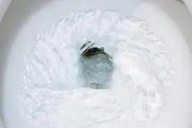 到底能不能在马桶里看到科氏力的漩涡？图片