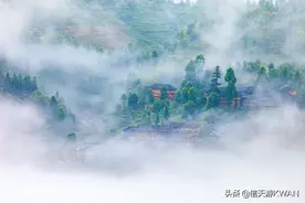 山中有雾就有仙，六月龙脊云雾缭绕，梯田人家也成了人间仙境图片