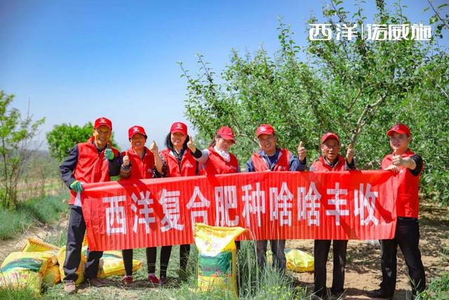 硫基复合肥与氯基复合肥的区别和作用有哪些？