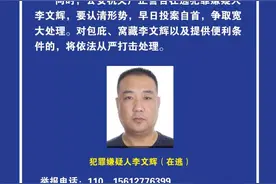 最高奖励10万元！见到这15人请速报警图片