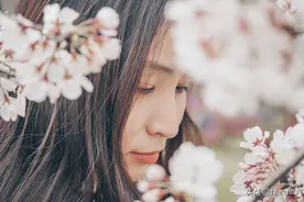赏樱无需去日本，苏北这个小城6万株樱花齐开放，浪漫了整个春天图片