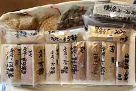 当中国人开始种菜…图片