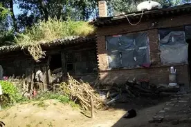 原平：成长路上有爱同行图片