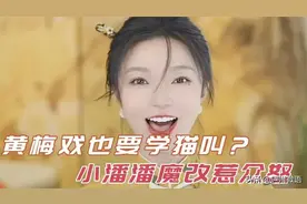 黄梅戏到底是安徽还是湖北的图片