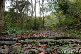 宁波古道探幽｜大松湾古道：茂林修竹寂静处图片
