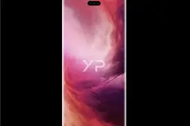 华为Mate 40屏幕由京东方提供，Mate 40 Pro则有京东方、三星和LG图片