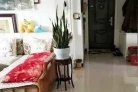 母亲进城与儿子同住，半月不到全屋大“变样”，儿媳笑着感谢图片