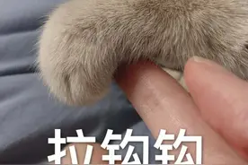 表情包：我jio得阔以图片