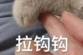 表情包：我jio得阔以图片