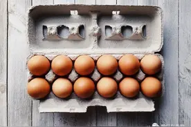 你在希腊吃到的鸡蛋是什么鸡蛋？图片