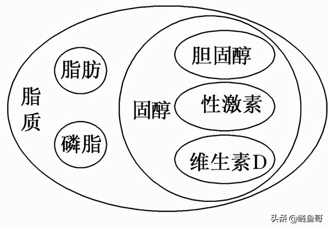 茶叶含有些什么东西？今天给大家科普下