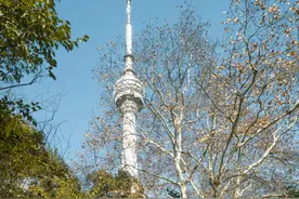 龟山上竟然有瀑布，还能从大桥上登山图片