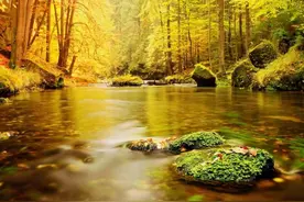 「诗词鉴赏」古诗词里的山中秋色，气象万千，摄人心魄的美丽图片