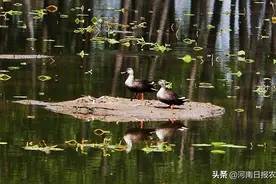 有一条神秘兮兮而充满文化自信的河：贾鲁河图片