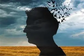 精神分裂的公知易教授图片