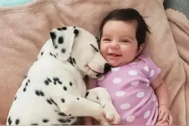 当人类幼崽遇上狗狗，画面真是又可爱又温馨图片