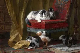 荷兰画家Henriette油画猫咪系列欣赏，逼真超萌可爱图片