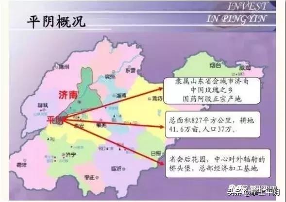 今天,平阴向全世界发出邀请!
