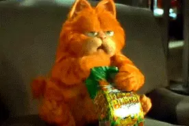 无证兽医给加菲猫做绝育手术，致猫咪病危，铲屎官起诉索赔图片